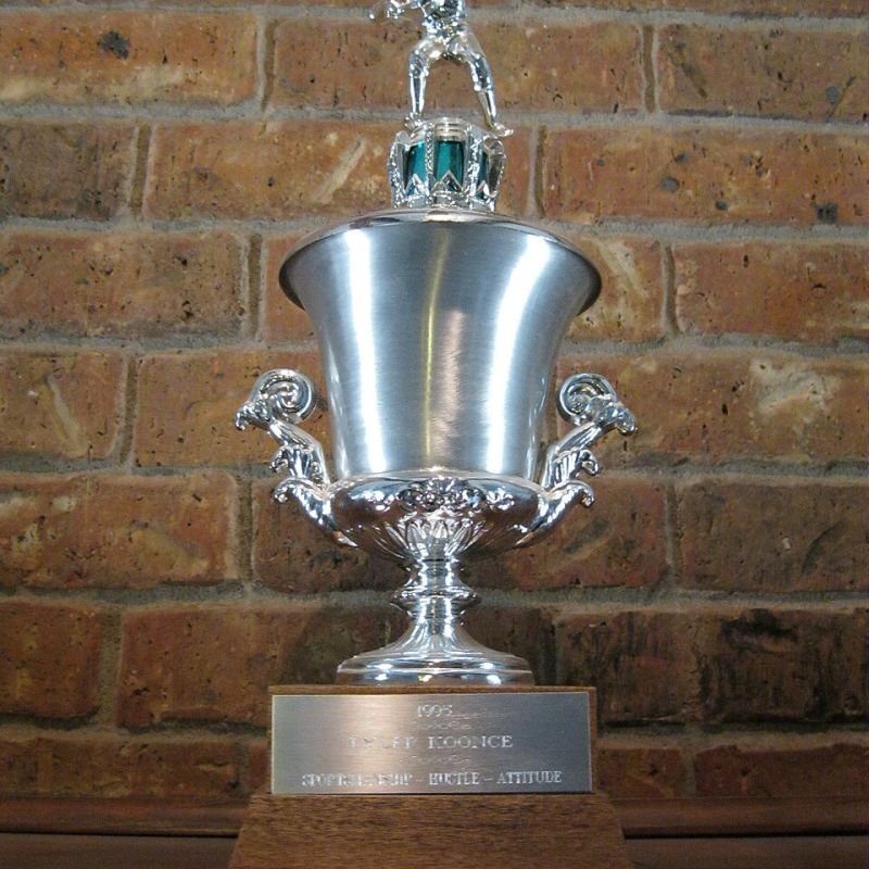 Gold Metal Trophy Cup
