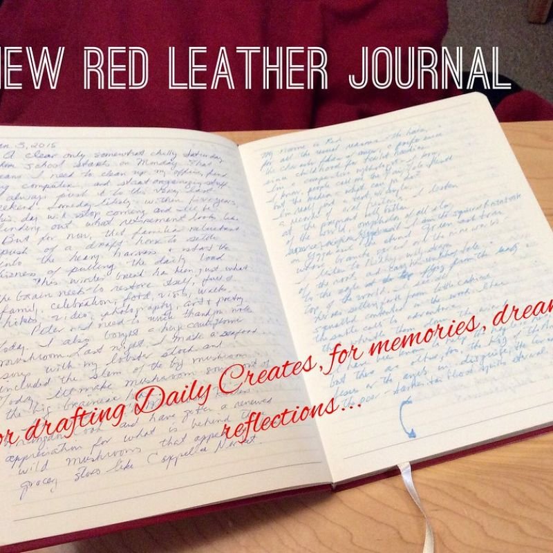 Magnetic Flap Diary